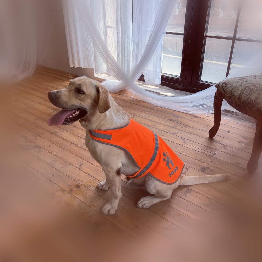 Idou 2 Pieces Orange Reflective Dog Safety Vest - High Visibility For Walking, Jogging & Training - Size M