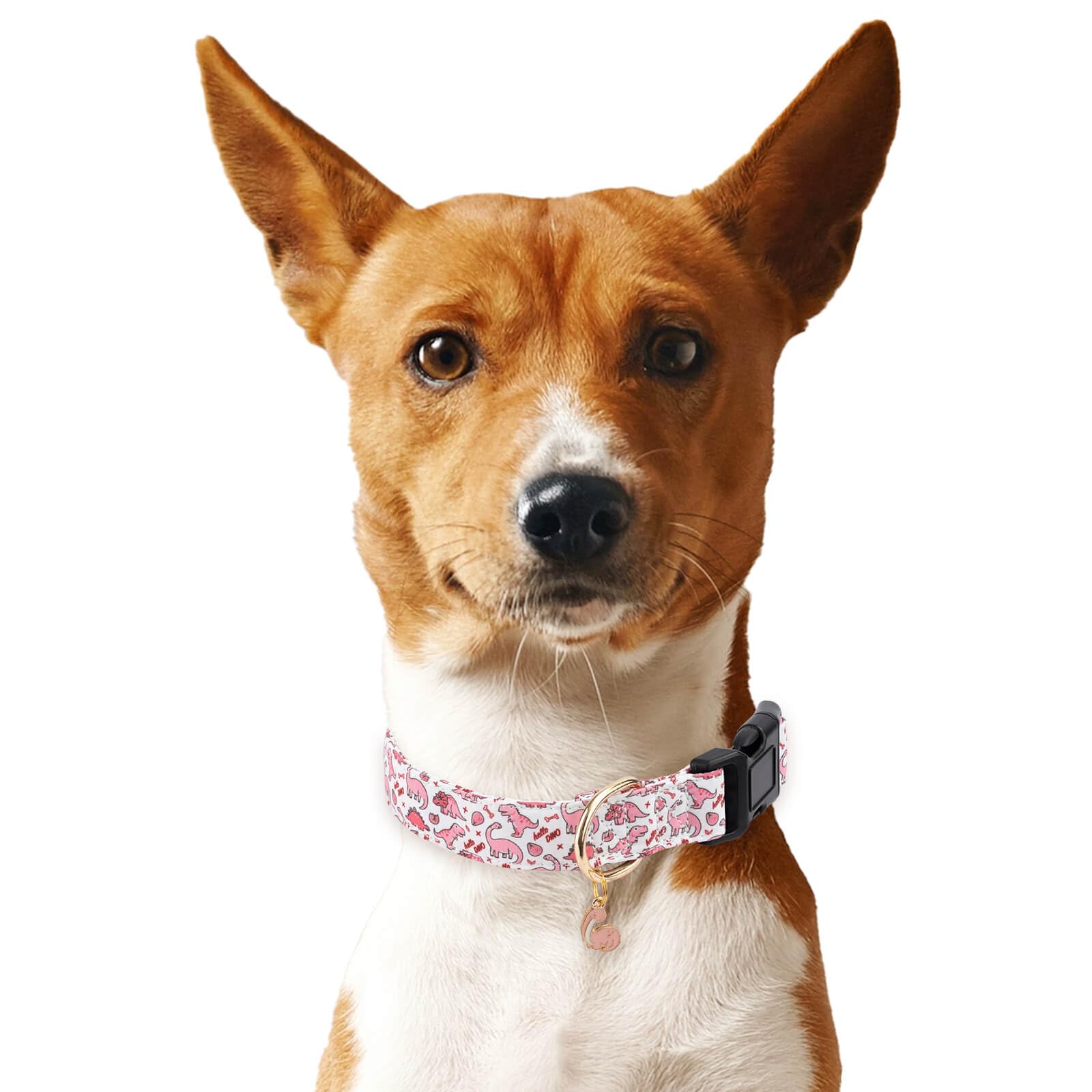 Gelwoo Cotton Dog Collar,Soft and Cute Puppy Collars with Pink Dinosaur Patterned Design for Girl Female Boy Dogs,Adjustable Buc