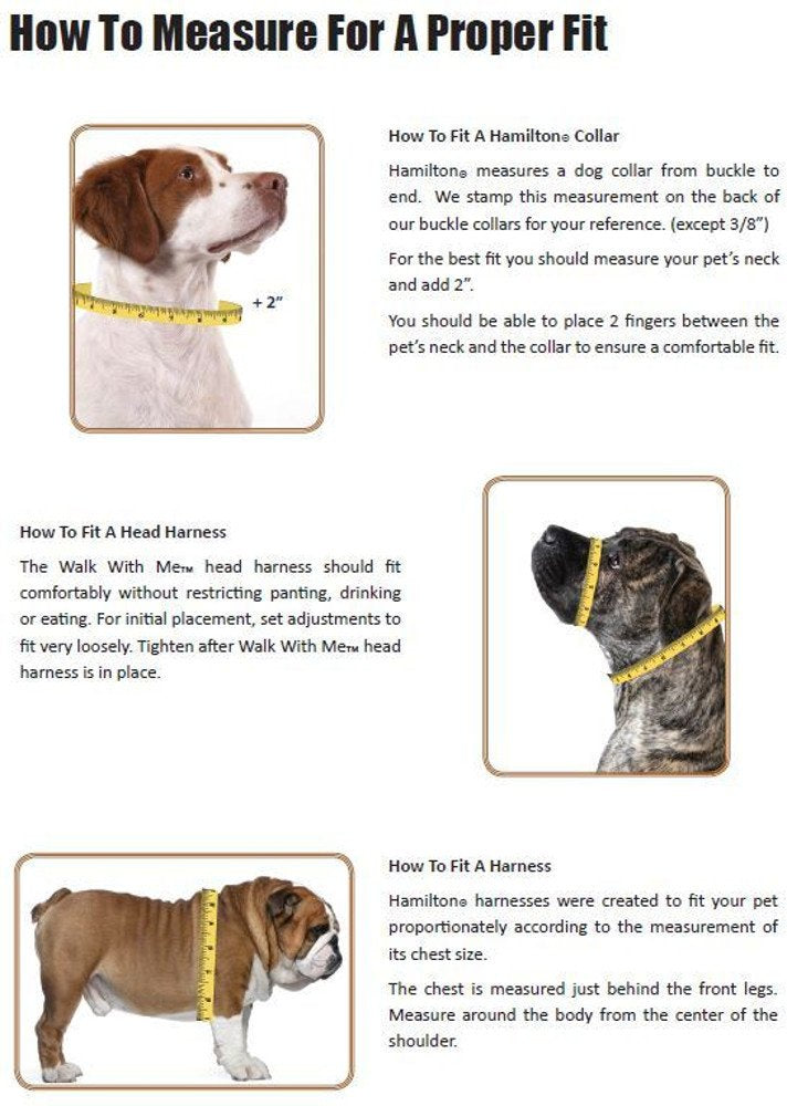 Hamilton Adjustable Comfort Nylon Dog Harness, Hot Pink, 3/8'' x 10-16''
