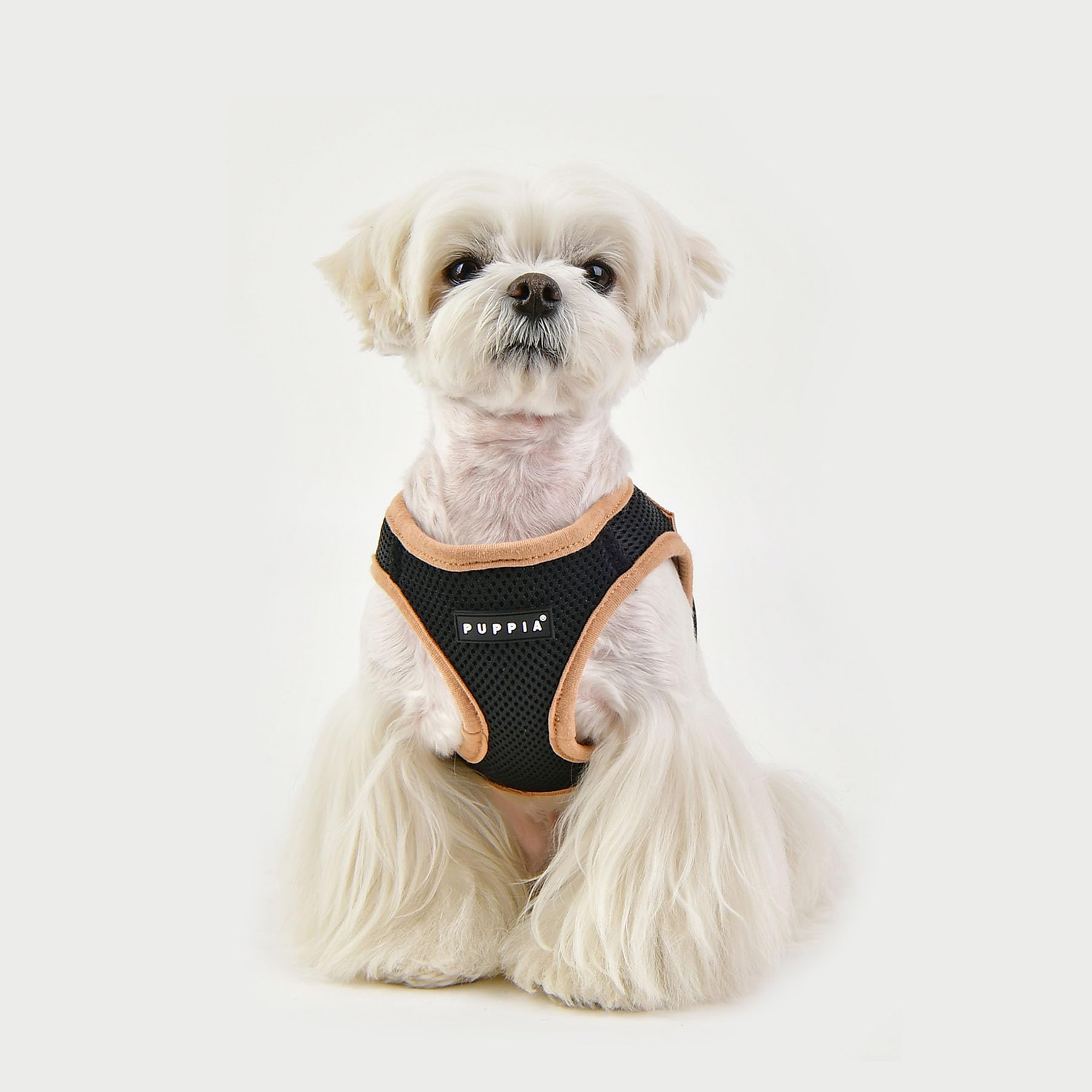 Puppia Soft Vest Harness B Ii - Black - L
