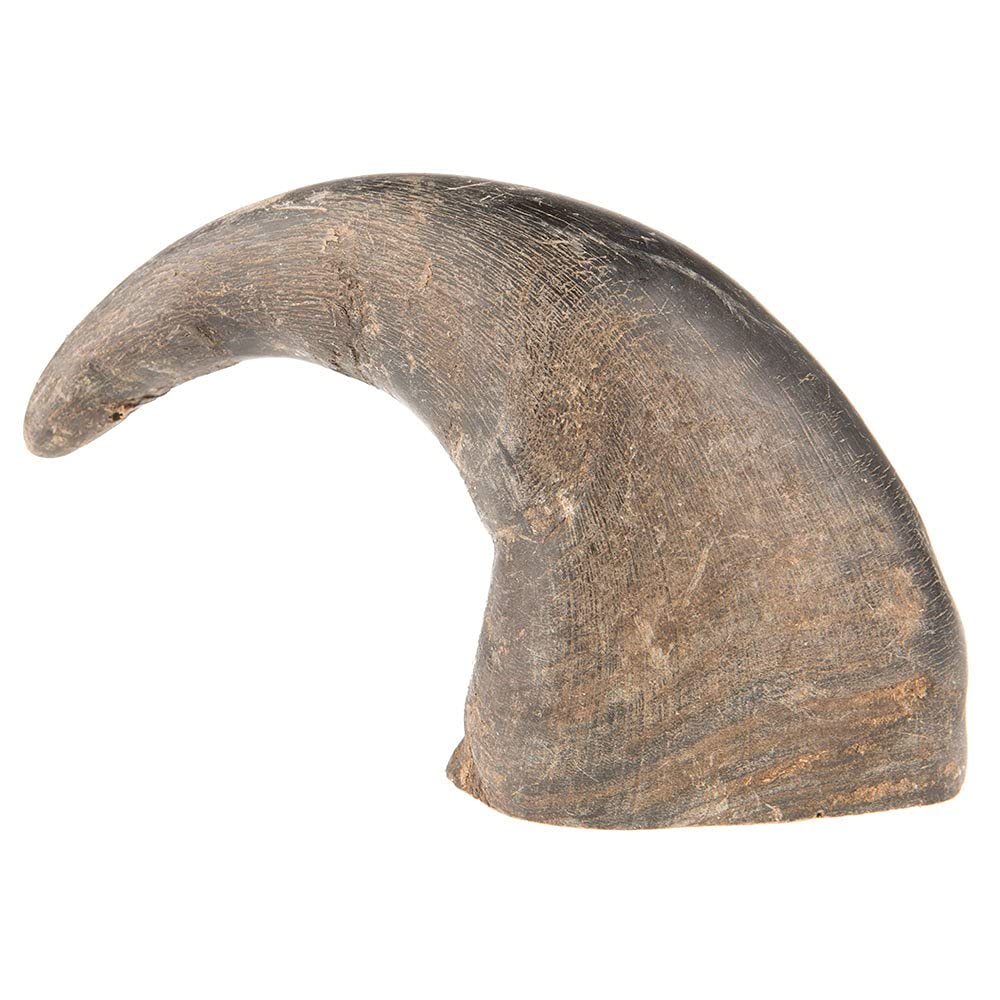 Qt Dog - Buffalo Horn Medium