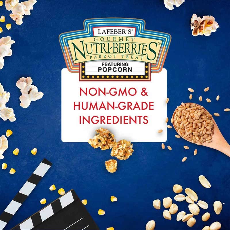 Lafebers Popcorn Nutri-Berries for Parrots 4 oz bag