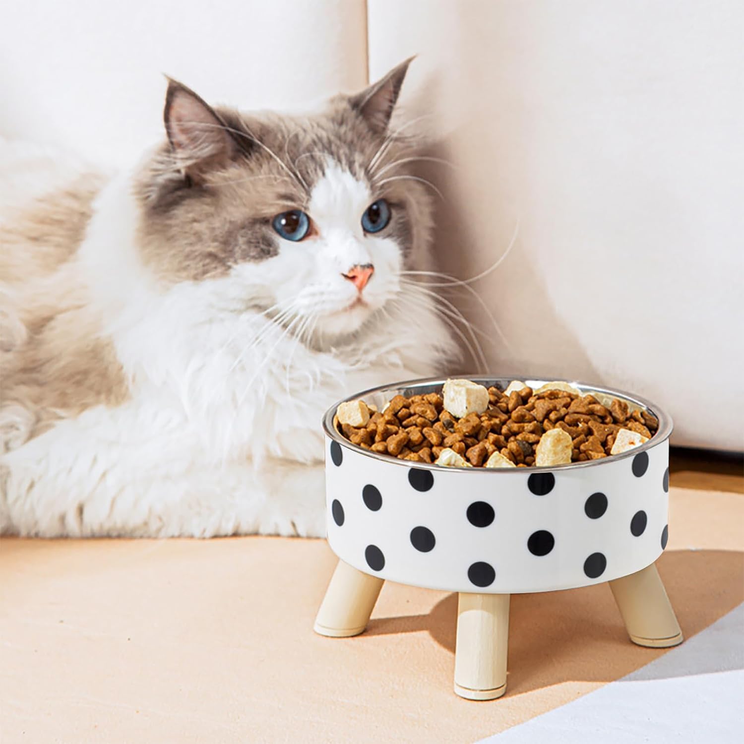 Jukkre Pet Food Bowl For Dog And Cat, Black And White Dots Checkerboard Stainless Steel Elevated Pet Bowl Cat Bowl  White