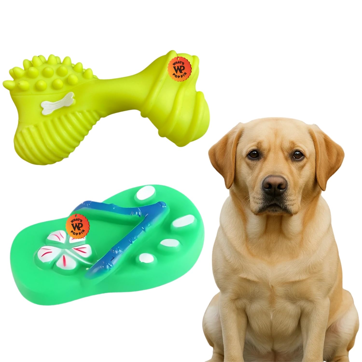 WhatS Poppin Slipper & Big Bone 3Design Squeaky Toy Combo For Dogs | Soft, Chewable Rubber Toys With BuiltIn Squeakers | Inte