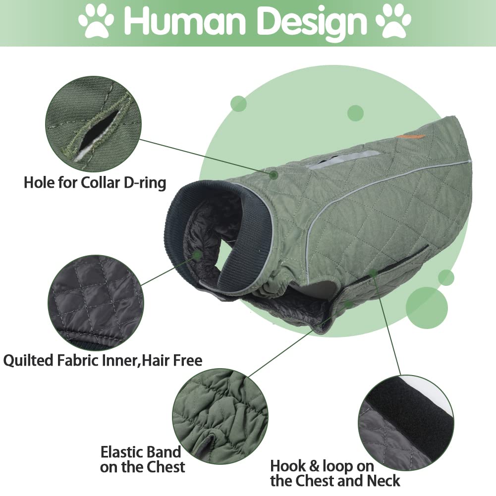 Emust British Style Windproof Warm Dog Coat, Polyester, Green, X-Small(Pack Of 1)