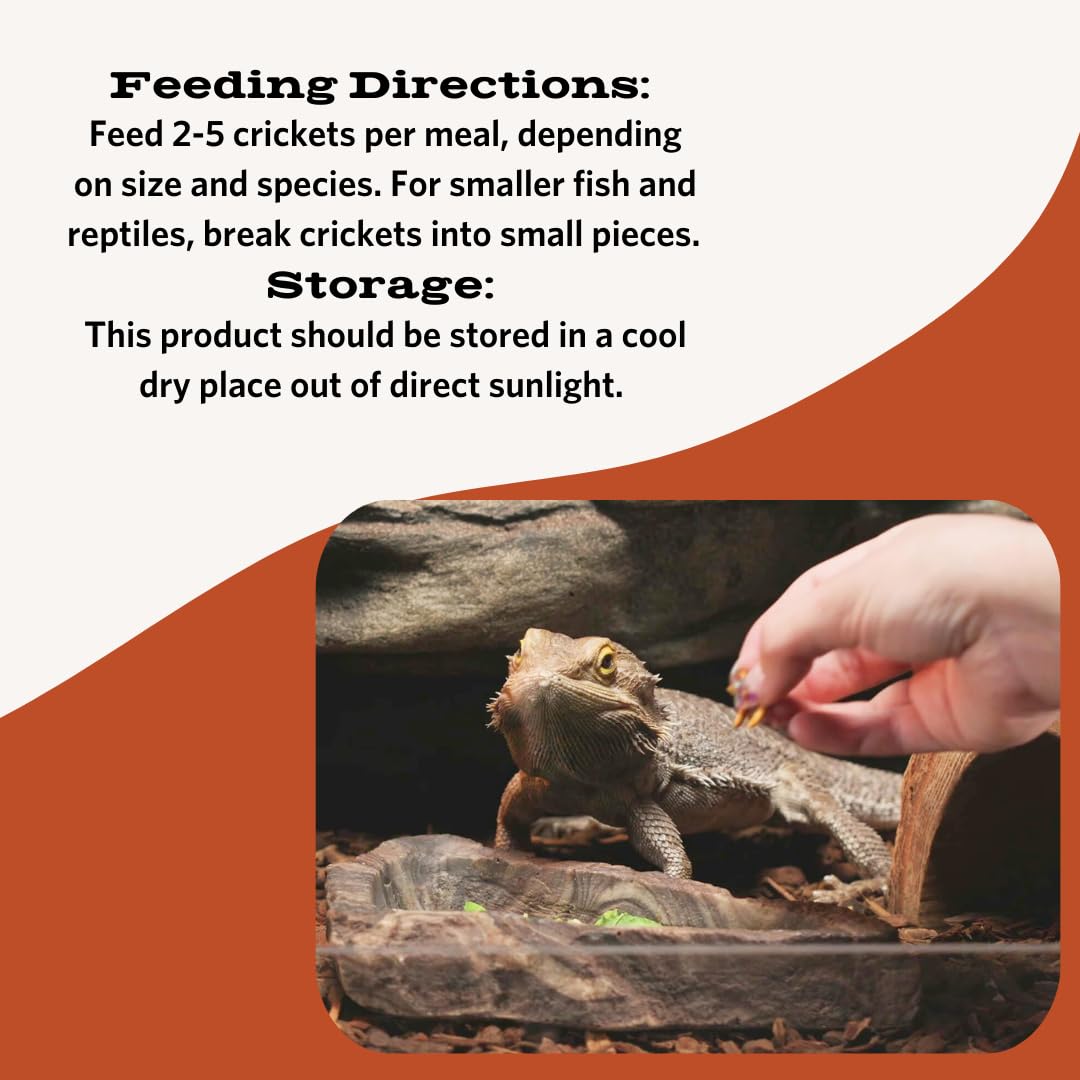 Flukers Freeze Dried Crickets for Reptiles, Packed with Protein and Essential Nutrients, 1 lb. Value Pack