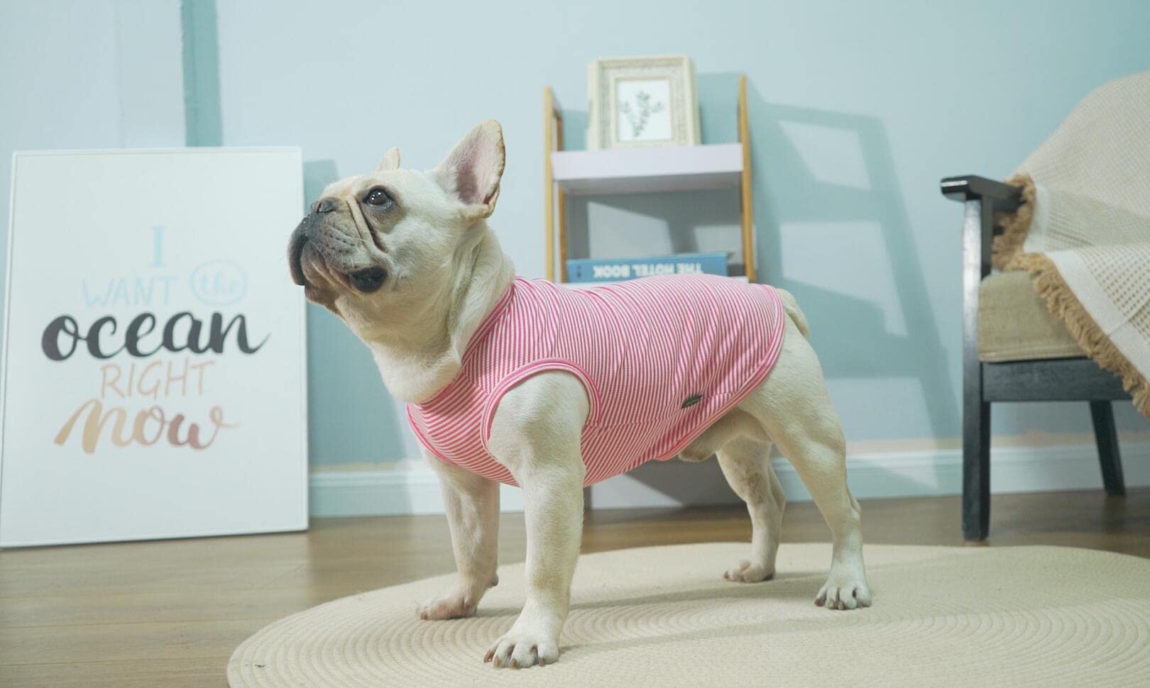 Sychien Dog Shirt,Combed Cotton T-Shirts,Soft Cool Boy Girl Tee For Small Dogs Kitty Puppy Chihuahua,Pink Rose Striped Xs