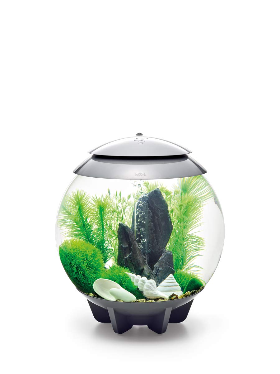 Biorb Decor Set - 30L Stone Garden, Medium