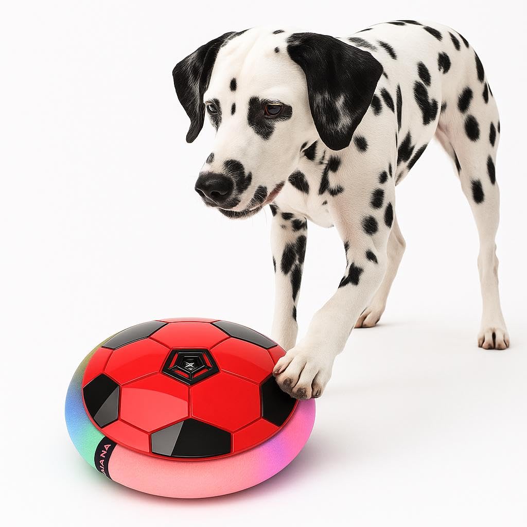 WAGGYTAILS LED Hover Ball Dog Toy (Made in U.A.E)  Interactive Rechargeable Spinning Toys  MotionActivated LightUp Ball for 