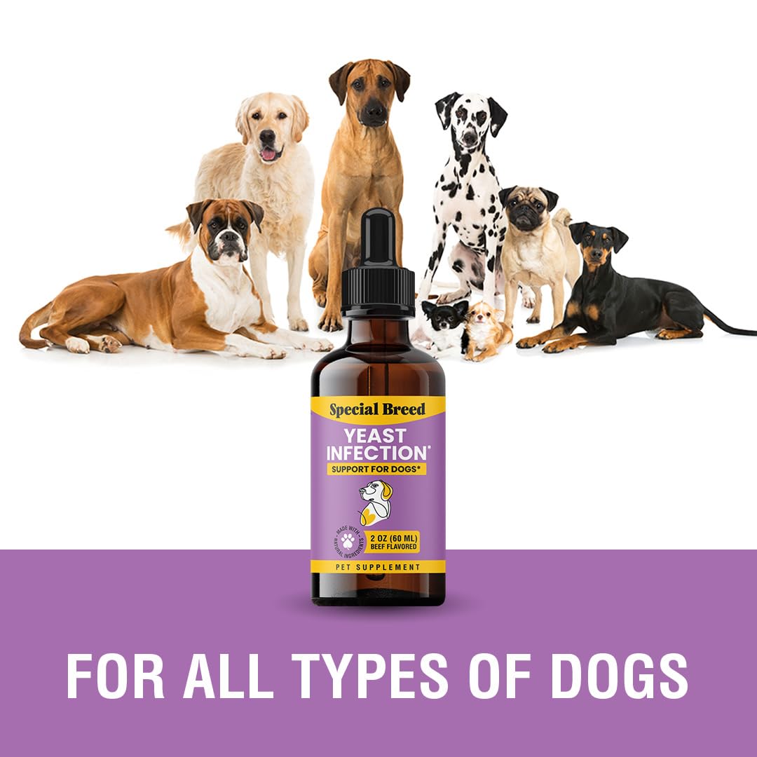 Special Breed Yeast Infection Treatment for Dogs - Soothing Itch Relief, Ear Infection Treatment, Reduces Irritation & Inflammat