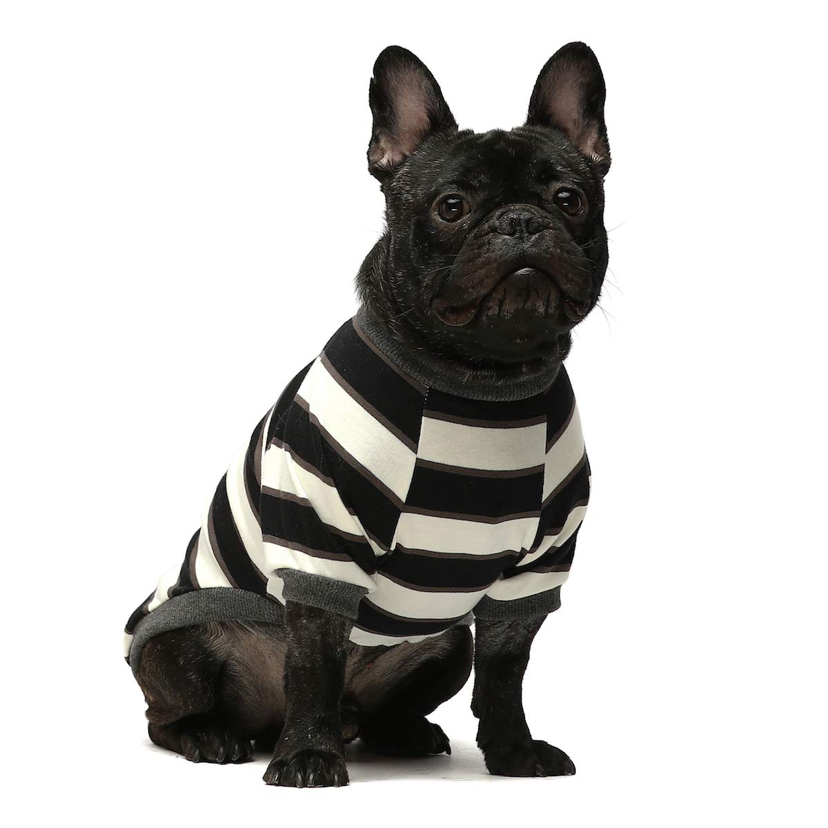 Fitwarm 2 Pack Striped Dog Shirt, Summer Dog Clothes For Small Dogs Boy, Breathable Pet Tshirt, Stretchy Cat Outfit, 103% Cotton