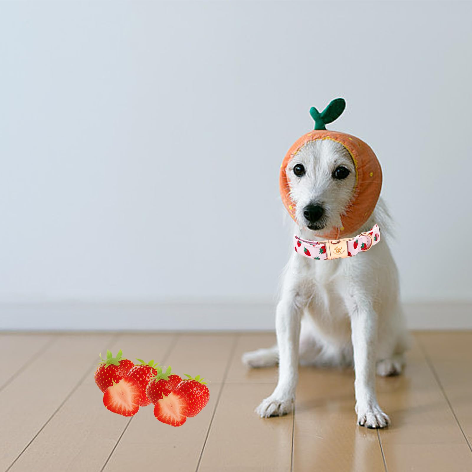 Elegant Strawberries Print Summer Dog Collar - Durable Cotton Collar With Metal Buckle For Large Dogs