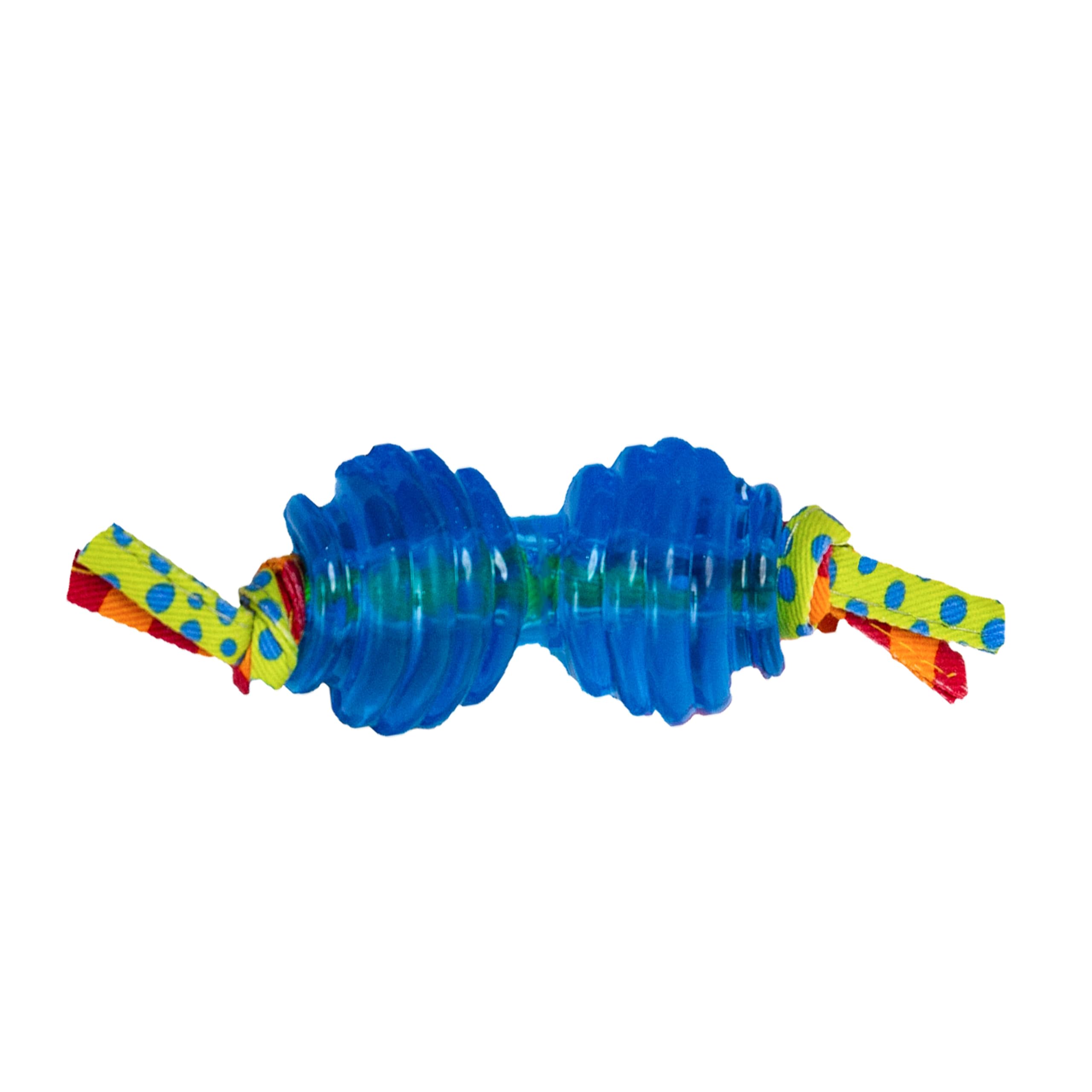 Petstages Mini Orka Chew Pair Bone & Dumbbell Dog Toys, Small (Pack of 2), Canvas, Chew Pair, Model 234
