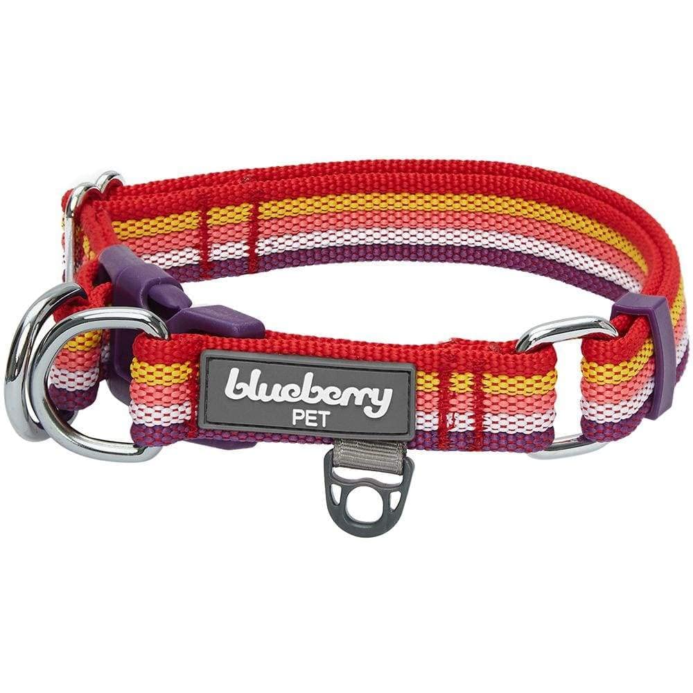 Blueberry Pet 3M Reflective Dog Collars | Adjustable Dog Collar W/Multi-Colored Stripe - Mixed Tone Rainbow Color | Nylon Pet Co