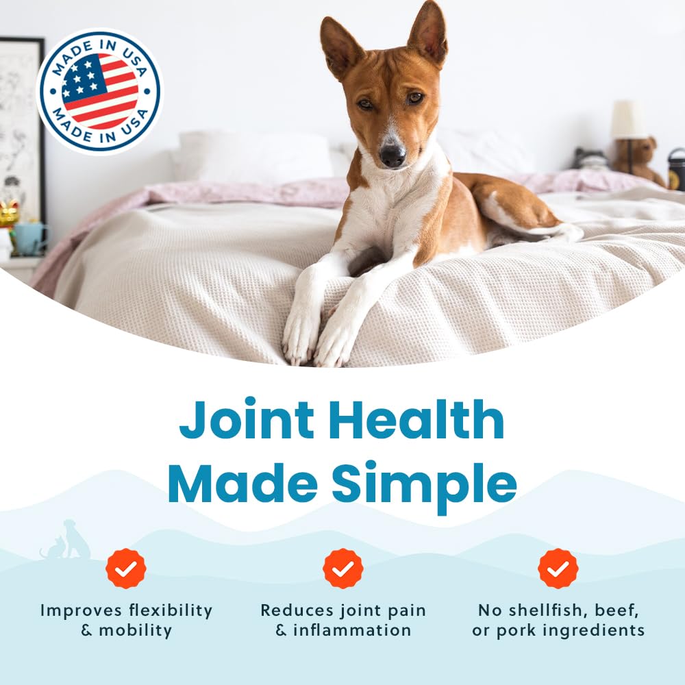 Paramount Pet Health Plant-Based Liquid Glucosamine for Dogs, 1600 mg Glucosamine Liquid for Dogs Joint Supplement, Ideal for Mo