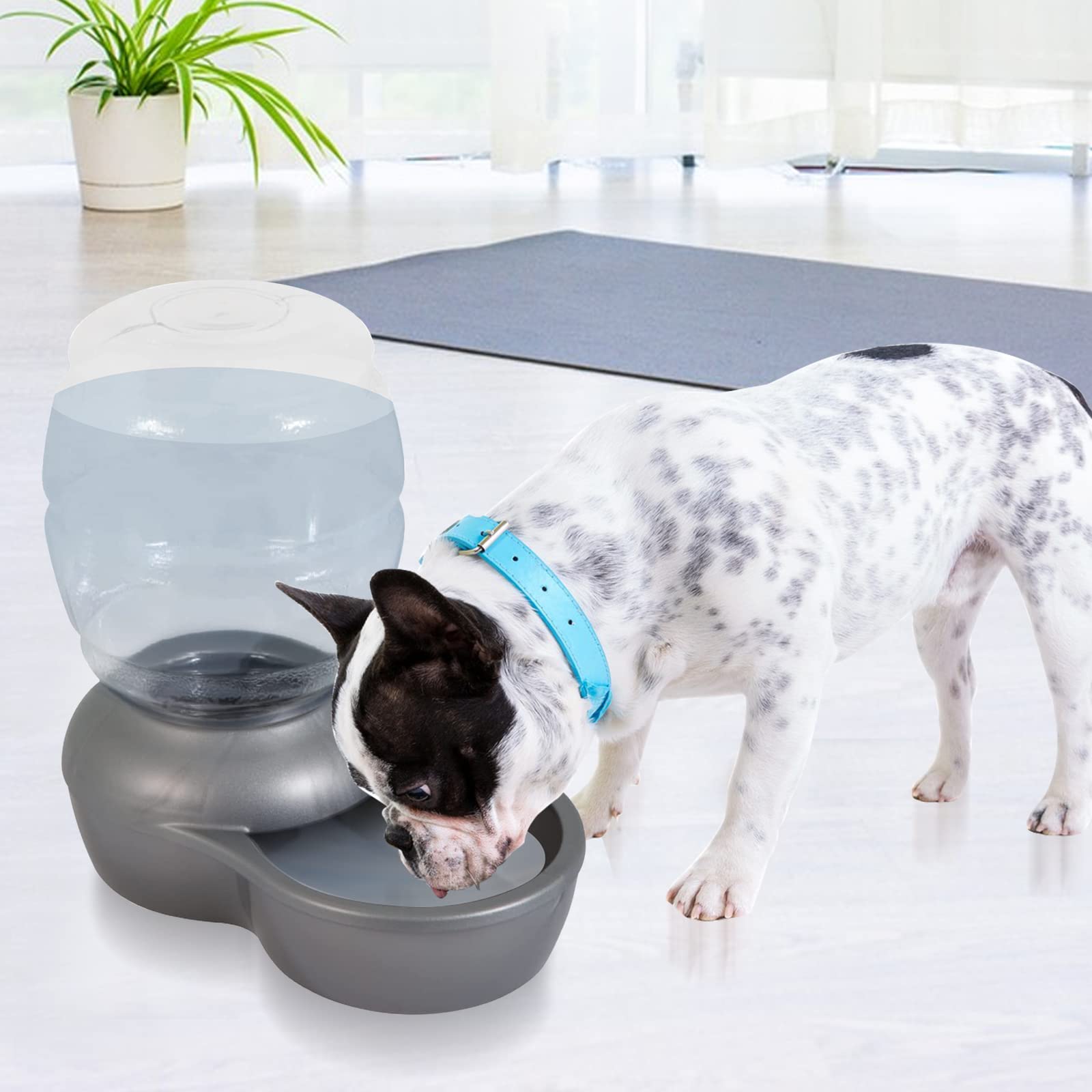 Charcoal Water Filter Replacement, Dog Cat Water Bowl Filter Pet Water Filter Fit For Gravity Waterer Bowls Pack Of 6