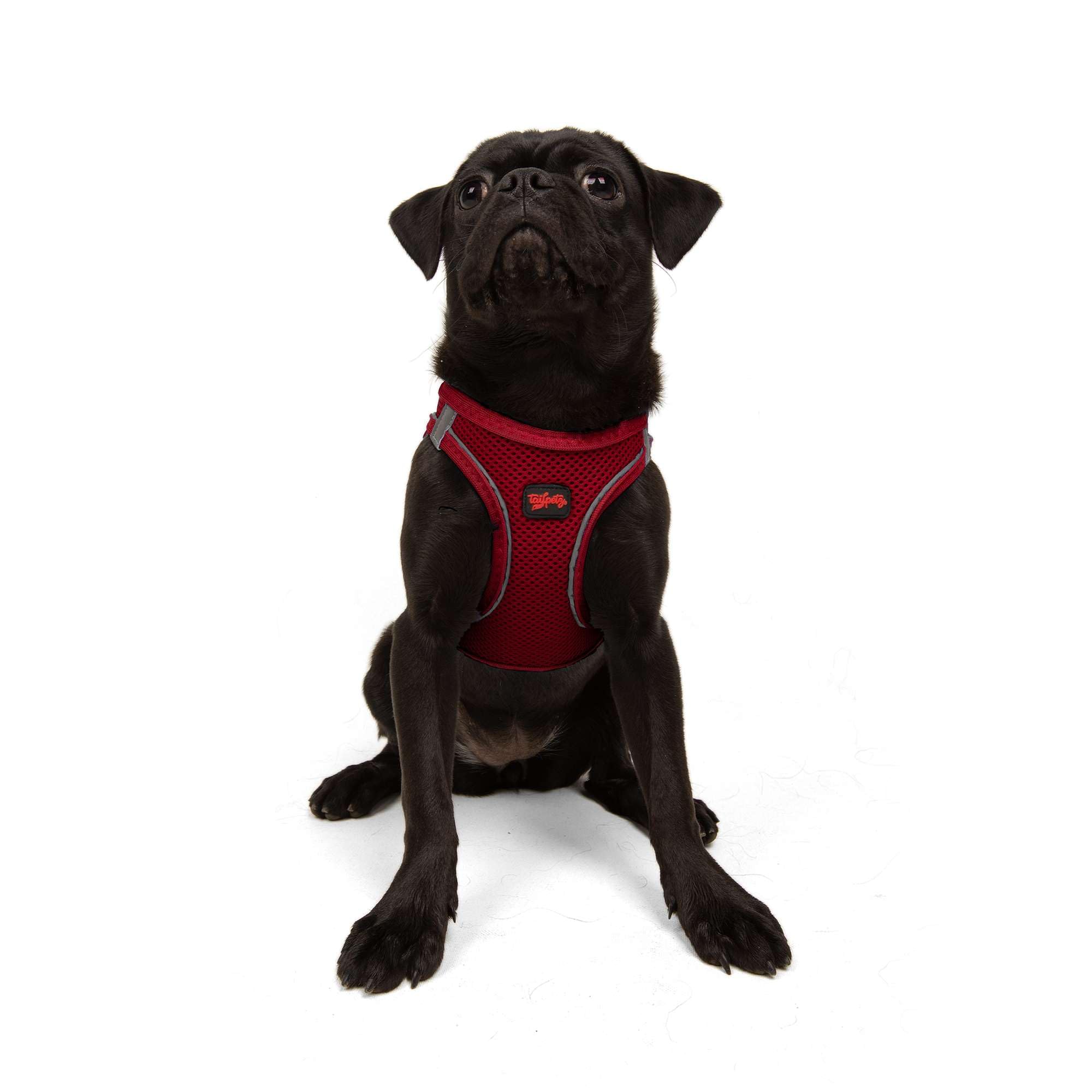 Tailpetz Red Dog Harness Medium Sized Dog, Adjustable No Pull Step in Harness Medium Size Dog, Reflective Puppy Harness for Pupp