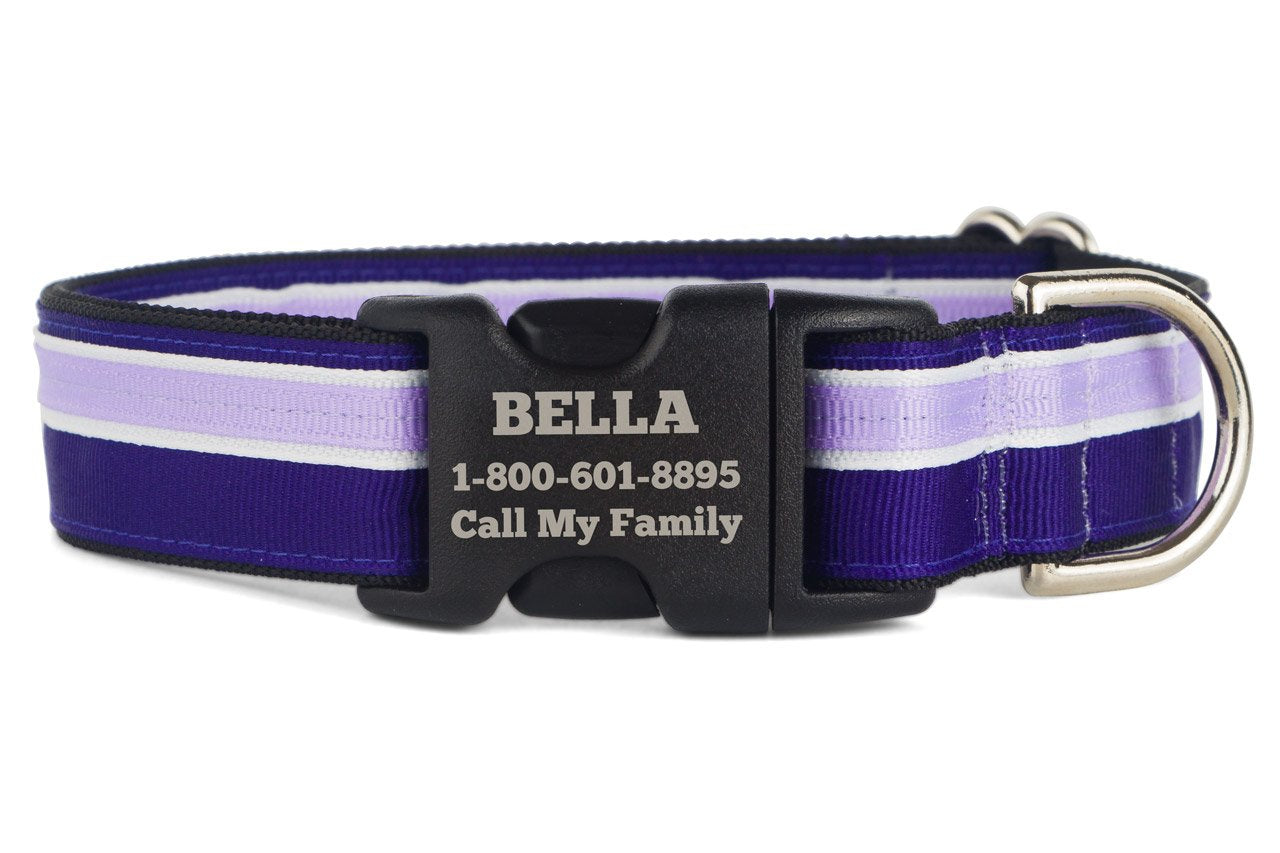 If It Barks Personalized 1' Striped Dog Collar - Engraved Name - Custom Size, Grape Crush