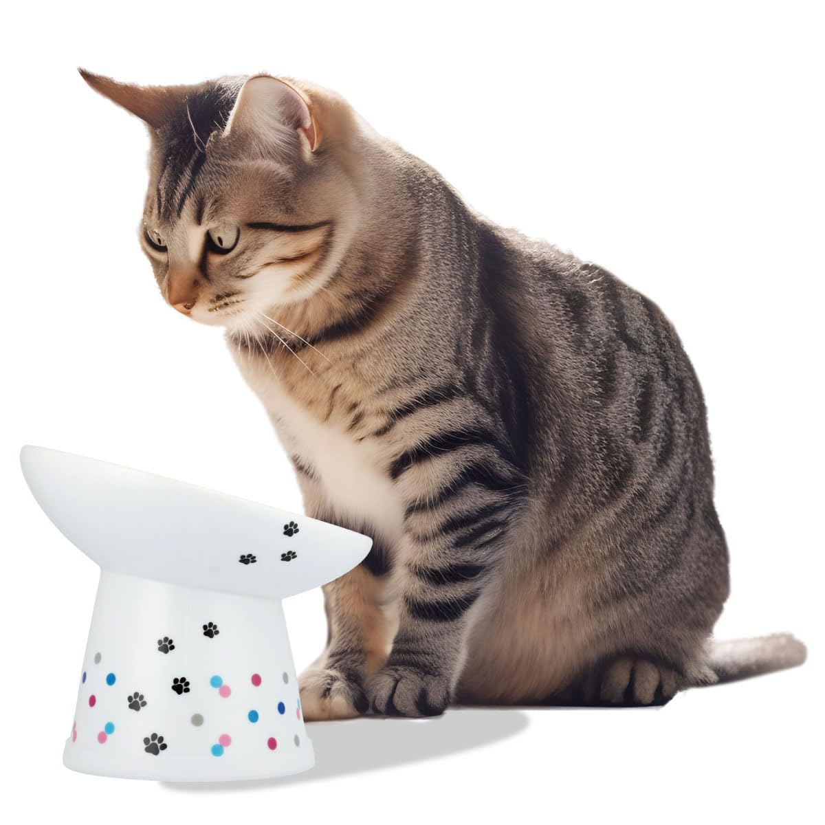 Necoichi Extra Wide Raised Cat Food Bowl, Elevated, Prevent Neck & Whisker Fatigue, Dishwasher and Microwave Safe, No.1 Seller i