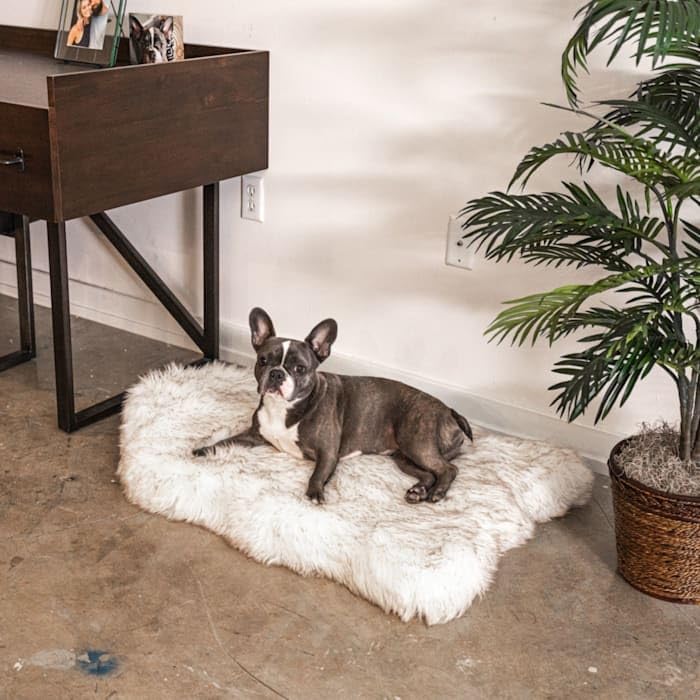PupRug Orthopedic Dog Bed for Dogs with Soft Faux Fur and Memory Foam for Joint Pain Relief, Machine Washable Waterproof Couch B