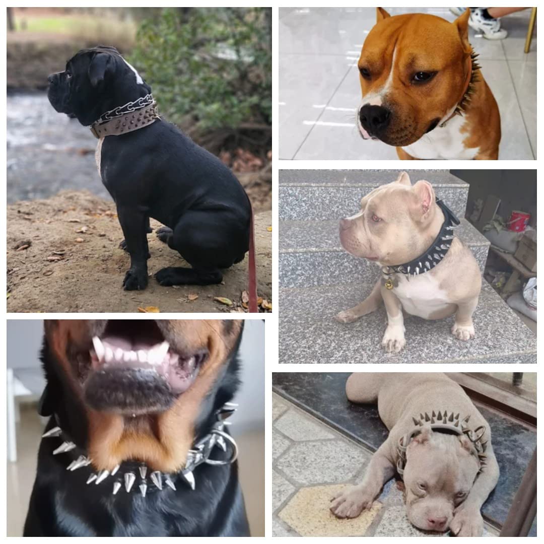 The Mighty Large Spiked Studded Dog Collar - Protect Your Dog'S Neck From Bites, Durable & Stylish, For Large Dogs (Grey S)