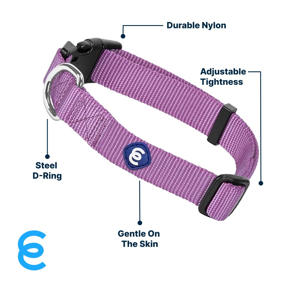 Blueberry Pet Essentials Matching Medium Dog Collar | Adjustable Classic Solid Color Nylon Dog Collars For Medium Dogs | Purple