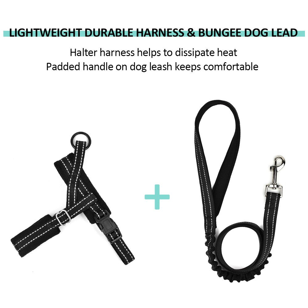 SlowTon No Pull Dog Harness & Leash Set, Medium, Nylon, Reflective, Adjustable, Black