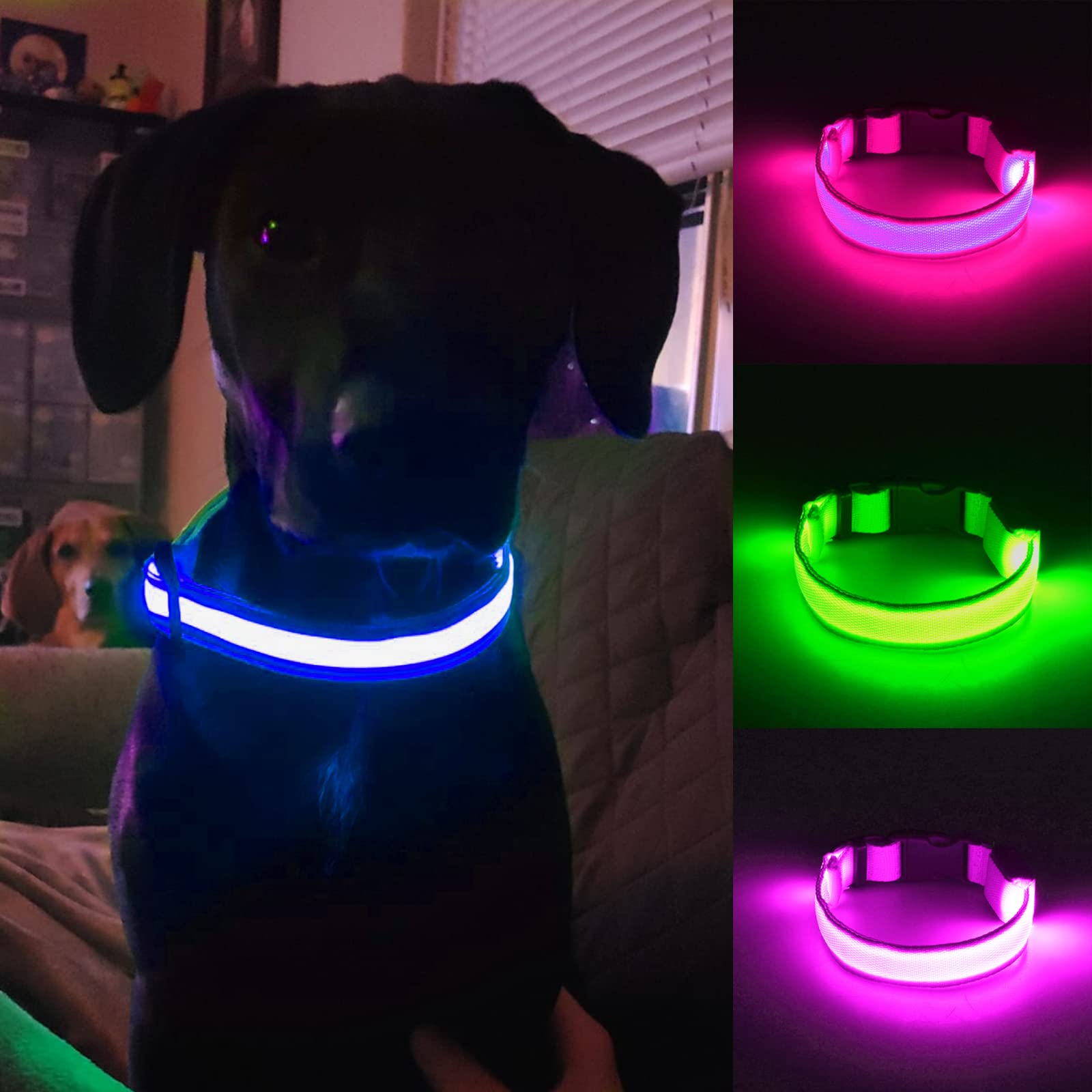 Omni Soulmate Third led Dog Collar,USB Rechargeable Light Up Dog Collars,3modes,Waterproof Dog Lights for Night Walking,Make Pet