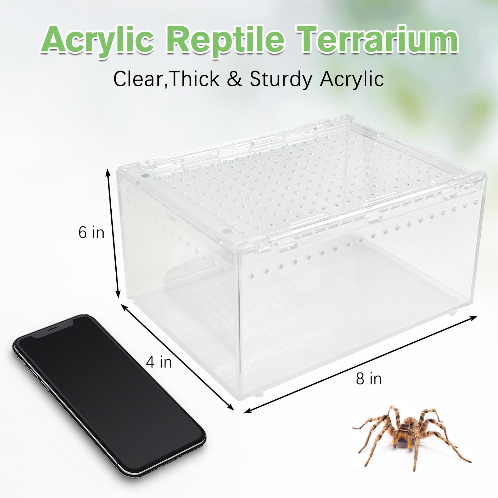 Apatal Acrylic Tarantula Enclosure Box No Assembly Reptile Terrarium 8x6x4in Transparent Sling Cage Magnetic Jumping Spiders Hab