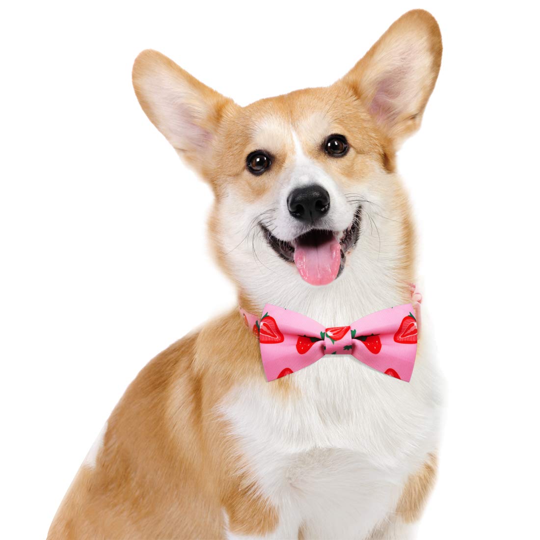 Azuza Dog Collar Bow Tie, Lovely Pink Dog Collars With Bowtie For Small Dogs
