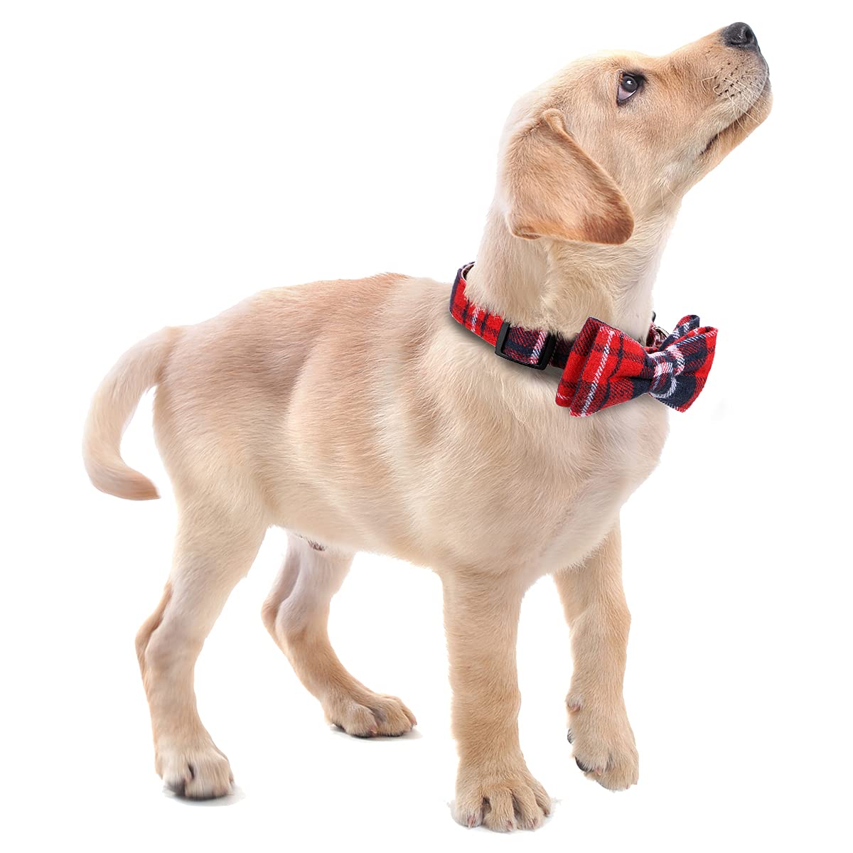 Faleela Soft &Comfy Bowtie Dog Collar,Detachable And Adjustable Bow Tie Collar,For Small Medium Large Pet (S, Red)