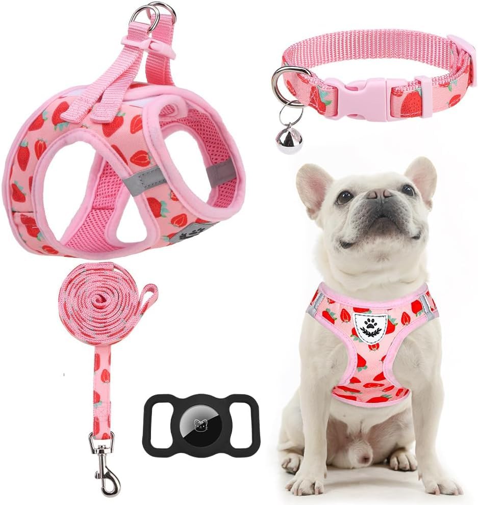 EXPAWLORER Dog Harness and Leash Set - Cute Puppy Harness Leash Dog Collar with AirTag Holder Silicone Case, Soft Padded Step in