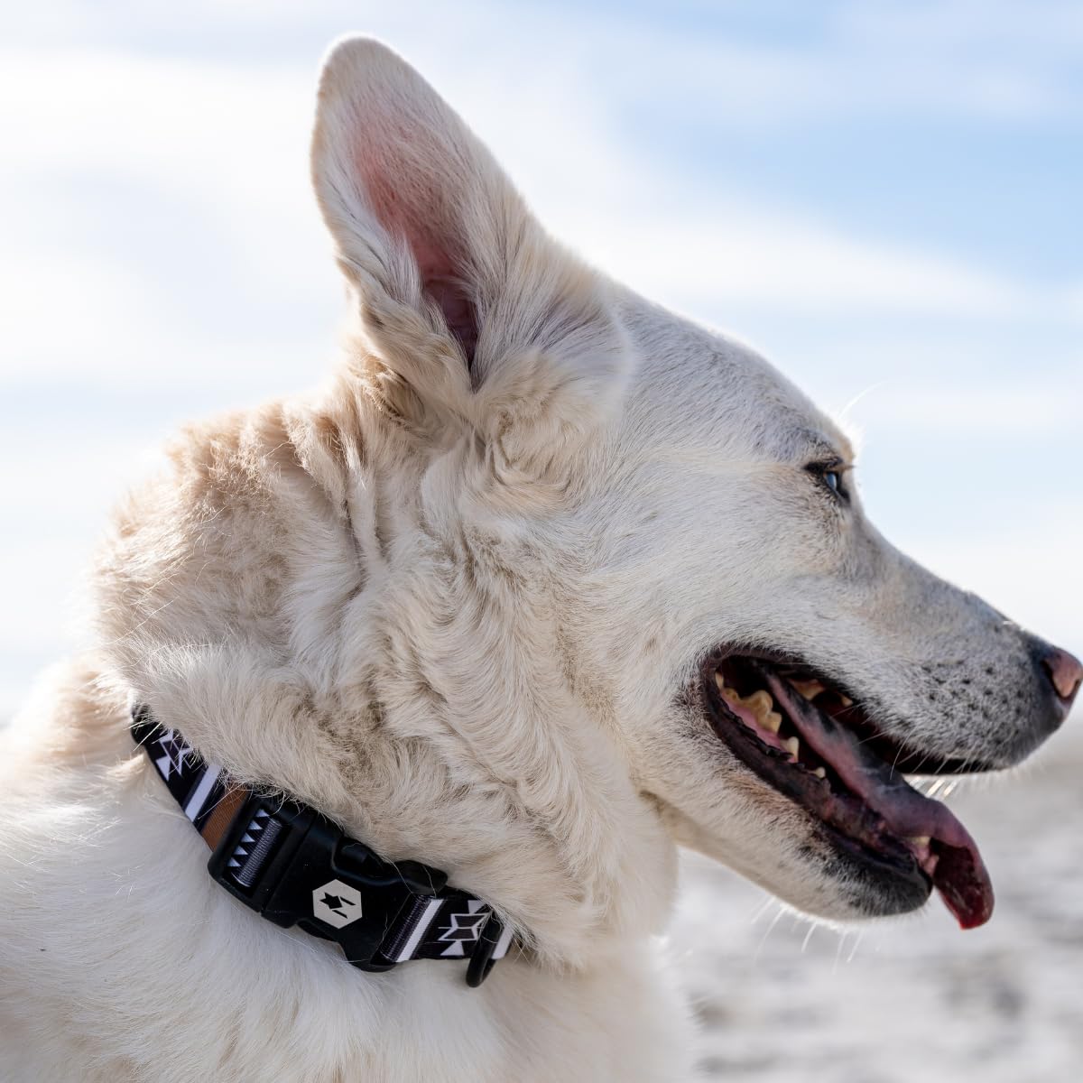 Wolfgang Heavy Duty, Adjustable Dog Collar With Quick Release Nylon Buckle For Walking & Training, Newmoon Print, Small