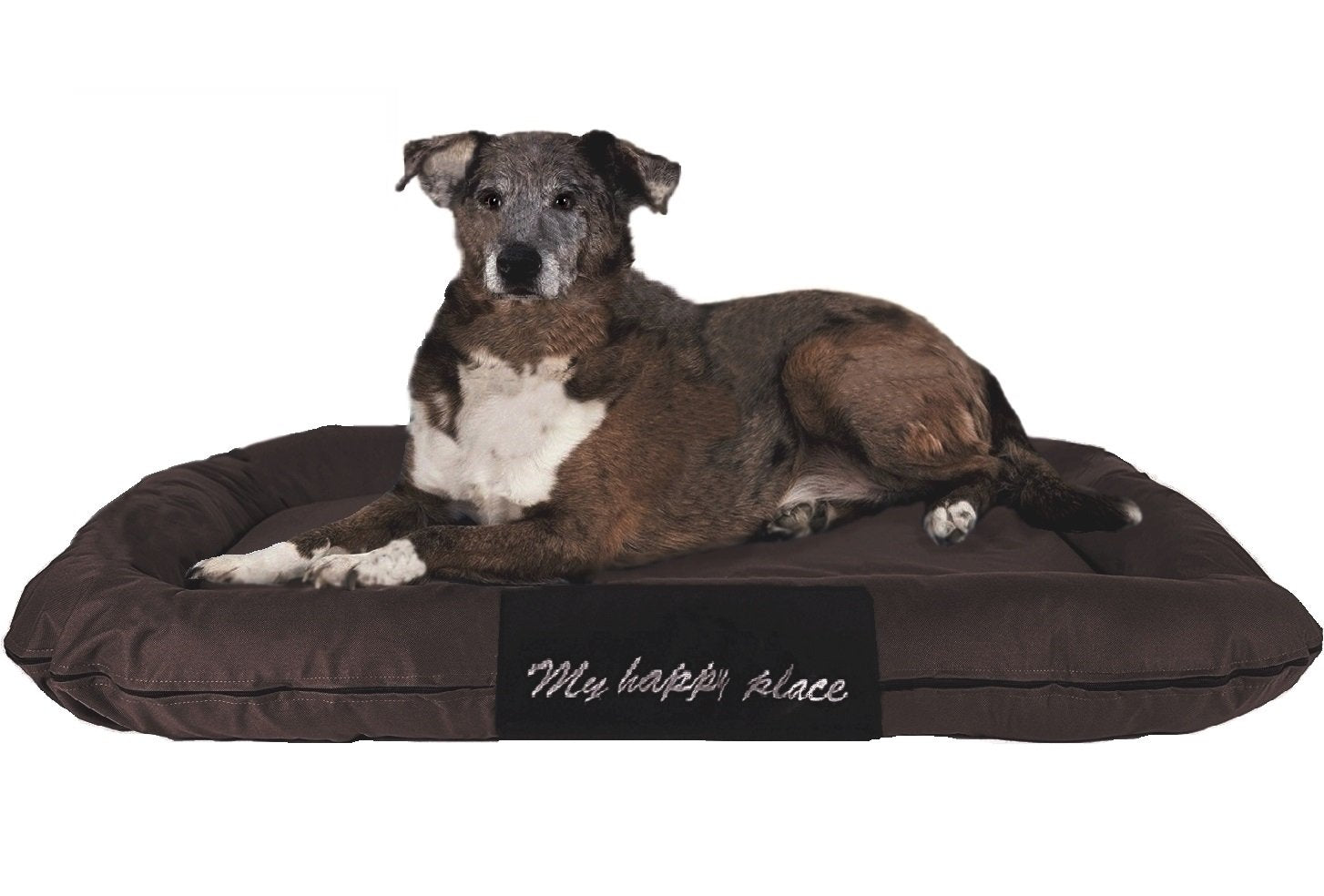 Ehomegoods Luxury Orthopedic Solid Memory Foam Pet Bed Pad With External Strong Tough Oxford Waterproof Cover Case For Small To Extra Large Dog (48X30 Inches, Brown)
