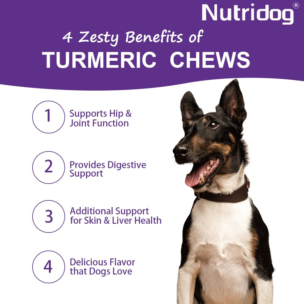 Nutridog Turmeric Chews for Dogs with Curcumin & Coconut Oil Joint Pain Relief, Anti-Inflammatory Antioxidant Support, 120 Salmo