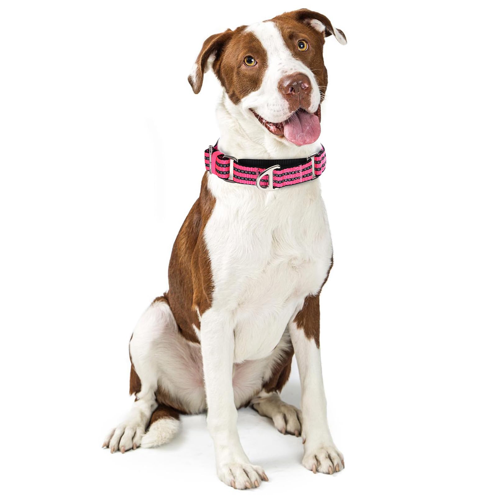 Onefojojo Martingale Dog Collars Reflective Nylon Dog Collar With No Buckle Adjustable Training No Slip Dog Collar (Large,Pink)