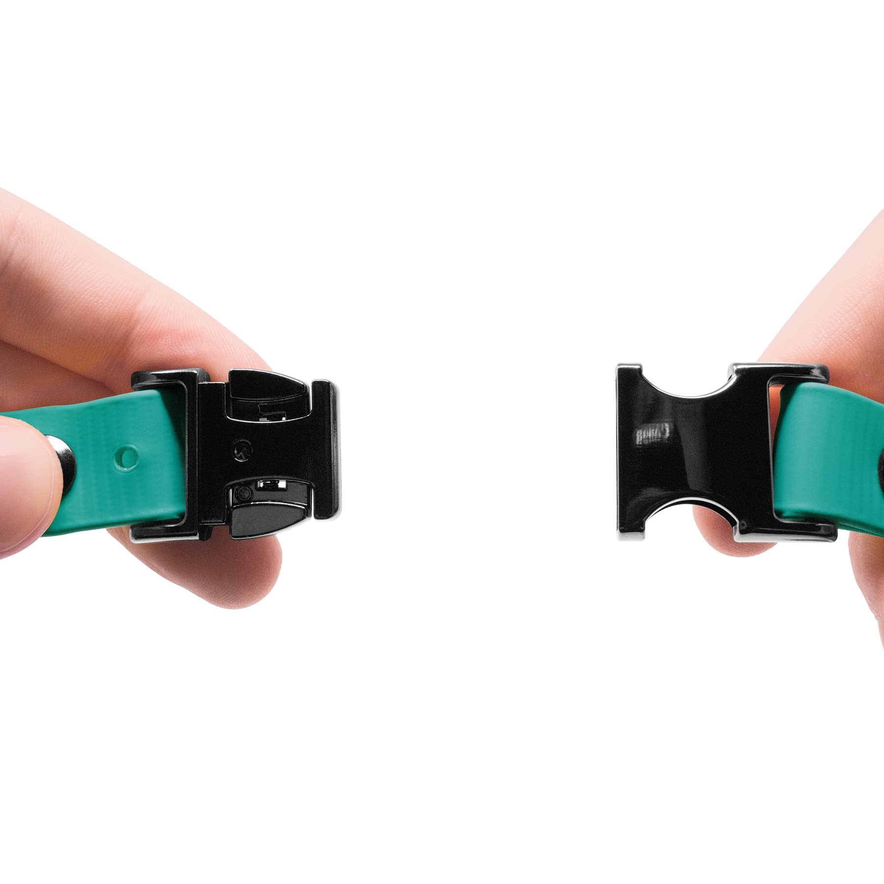 Educator Quick Snap Bungee Dog Collar, Biothane, Waterproof, Odorproof, Easy Connect And Disconnect Clasp And D Ring With Comfort Bungee Loop, Adjustable For Custom Fit, 3/4-Inch, Teal