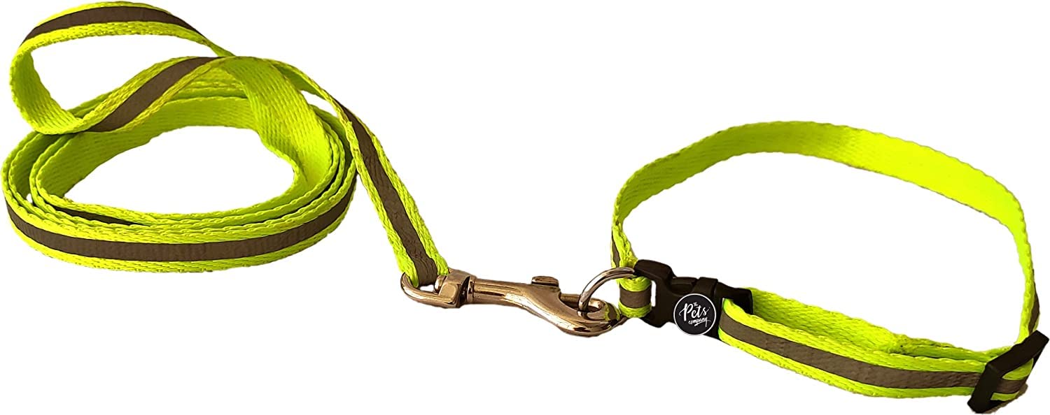 The Pets Company Reflective Leash Collar Set For Puppies, 4 Feet 10 Mm, Green