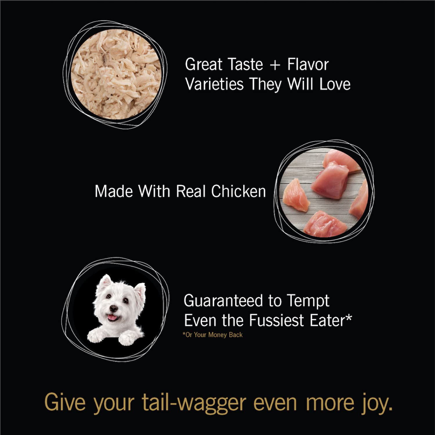 Cesar Simply Crafted Adult Wet Dog Food Toppers for Dry Food, Chicken, 1.3 oz Tubs, 24 Count