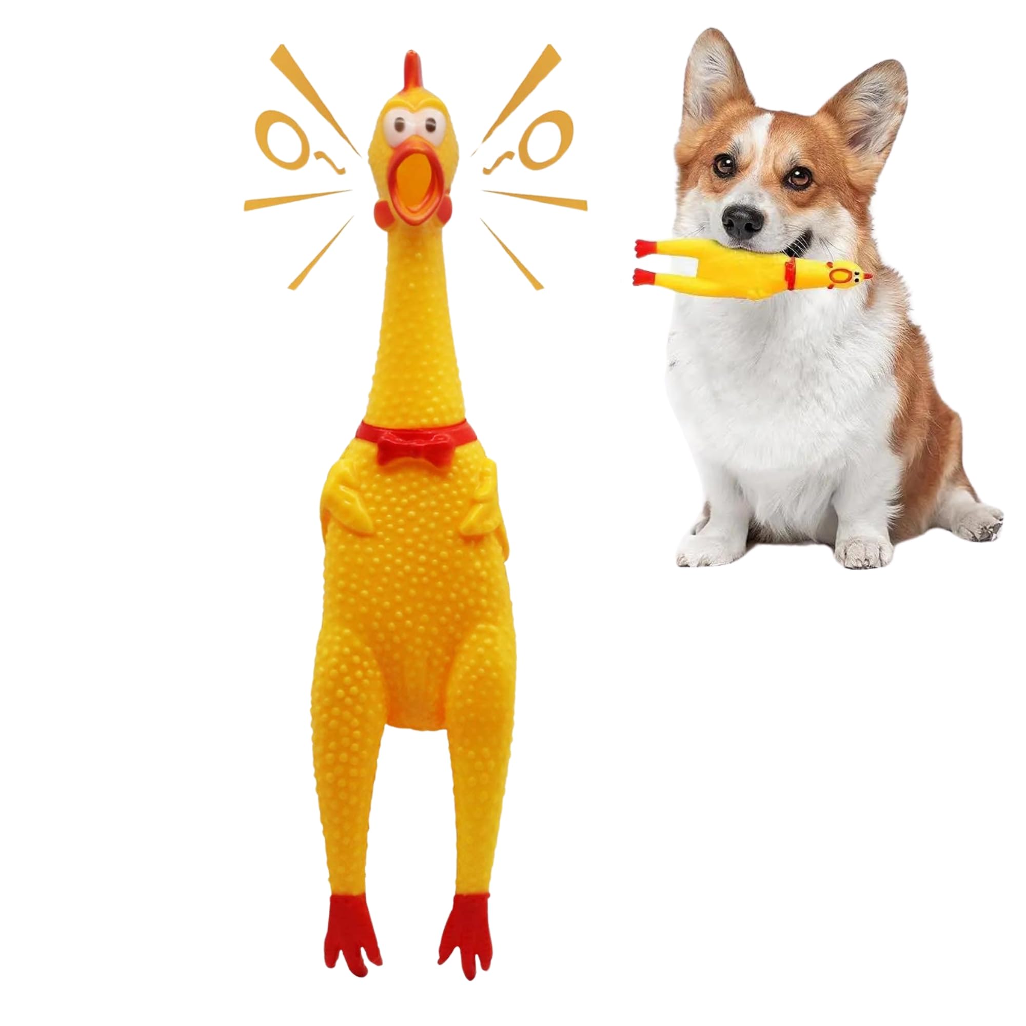 POLKA Latex Chicken Squeaky Toy for Dogs  Funny Rubber Chew Toy with Loud Sound  Reduce Separation Anxiety Toys for Dogs & Pup
