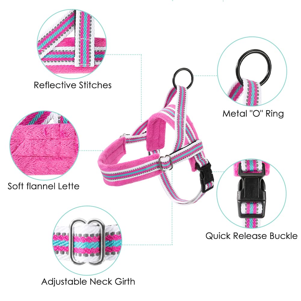 Lukovee Walking Dog Harness And Leash, Heavy Duty Adjustable Puppy Harness Soft Padded Reflective Vest Harness Anti-Twist 4Ft Pet Lead Quick Fit Lightweight For Small Dog Cat (X-Small, Fuschia)