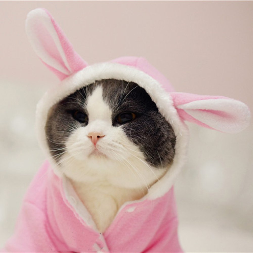 Nacoco Dog Rabbit Costume Pet Puppy Hoodies Clothes Coat Bunny Autumn Winter Halloween For Small Dog And Cat (M)