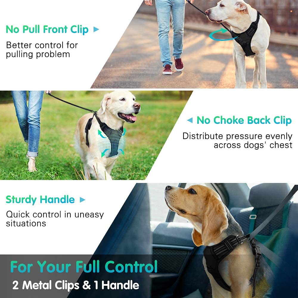 Qisebin Dog Harness, No-Pull Pet Harness With 2 Leash Clips, Adjustable Soft Padded Dog Vest, Reflective No-Choke Pet Oxford Vest With Easy Control Handle For Small Dogs, Black, M