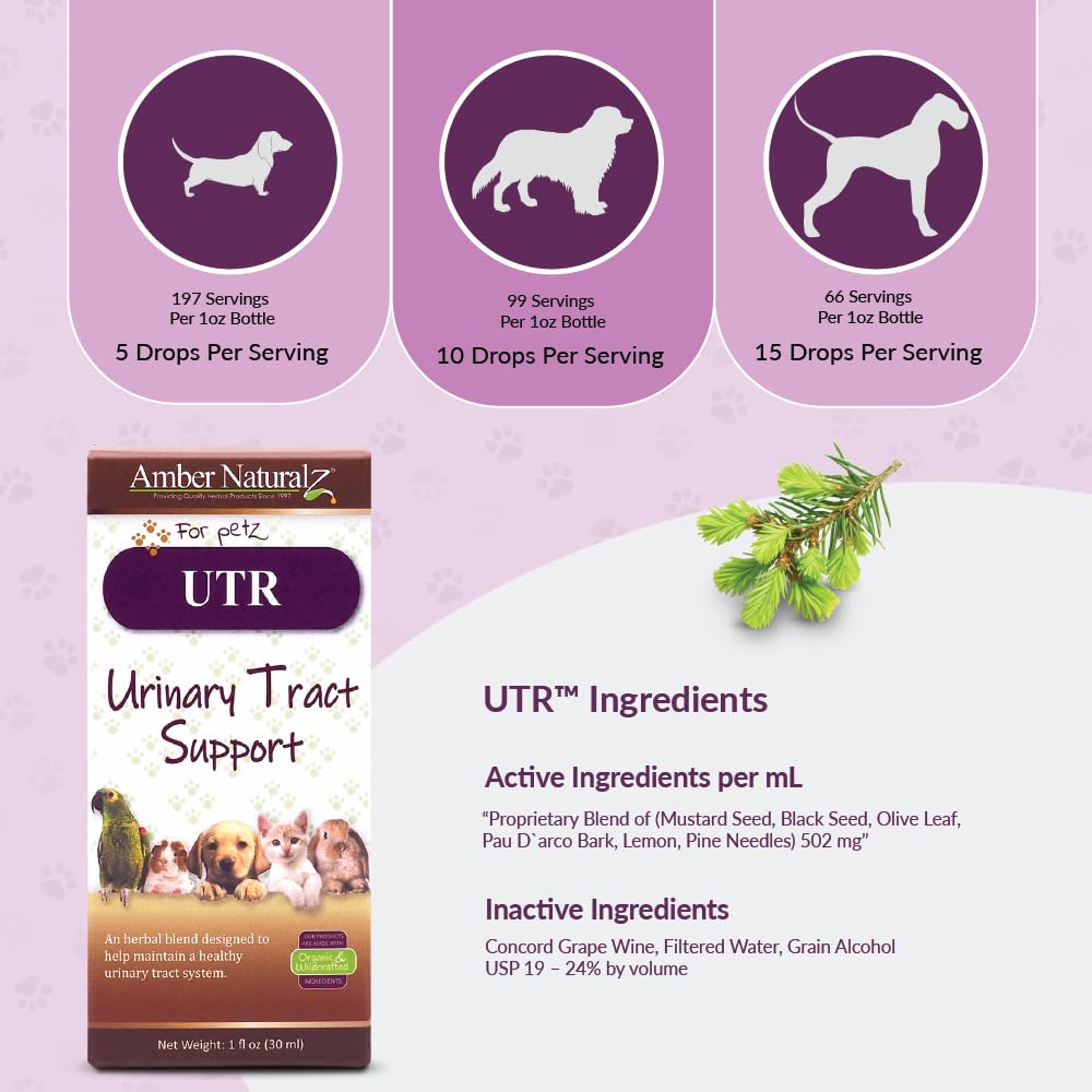 AMBER NATURALZ UTR Urinary Tract Herbal Supplement for Dogs, Cats, Birds, Guinea Pigs, and Rabbits | Pet Herbal Supplement for B