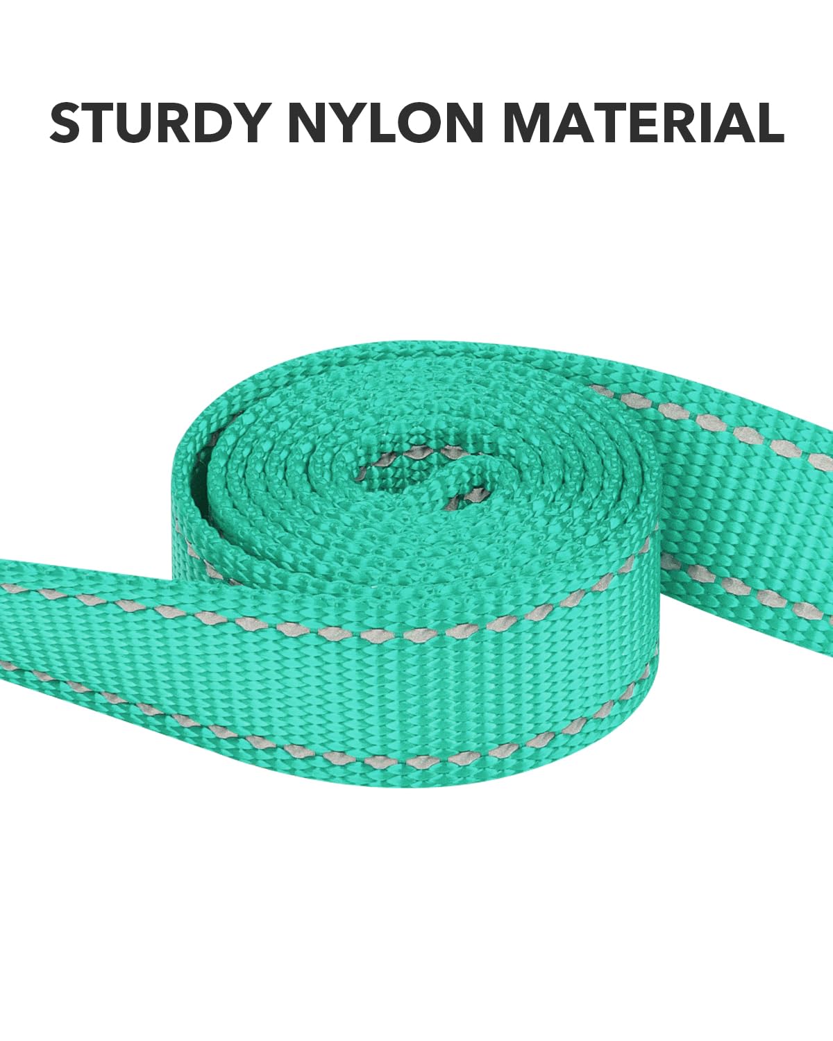 Taglory Nylon Dog Leash, 6ft Reflective with Soft Padded Handle, for Small Medium Dogs, Turquoise