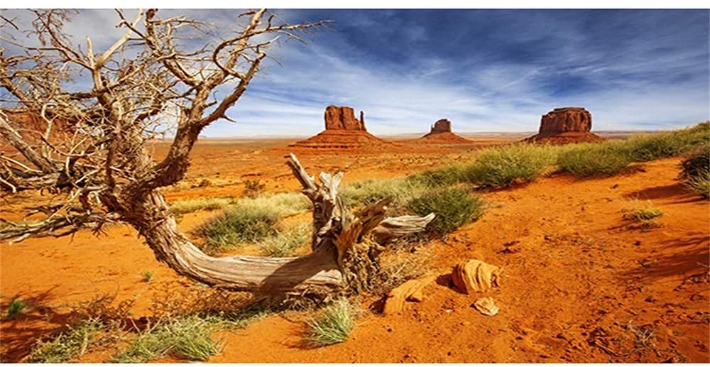 Awert 72X16 Inches Reptile Habitat Background Orange Desert Terrarium Background Durable Polyester Background
