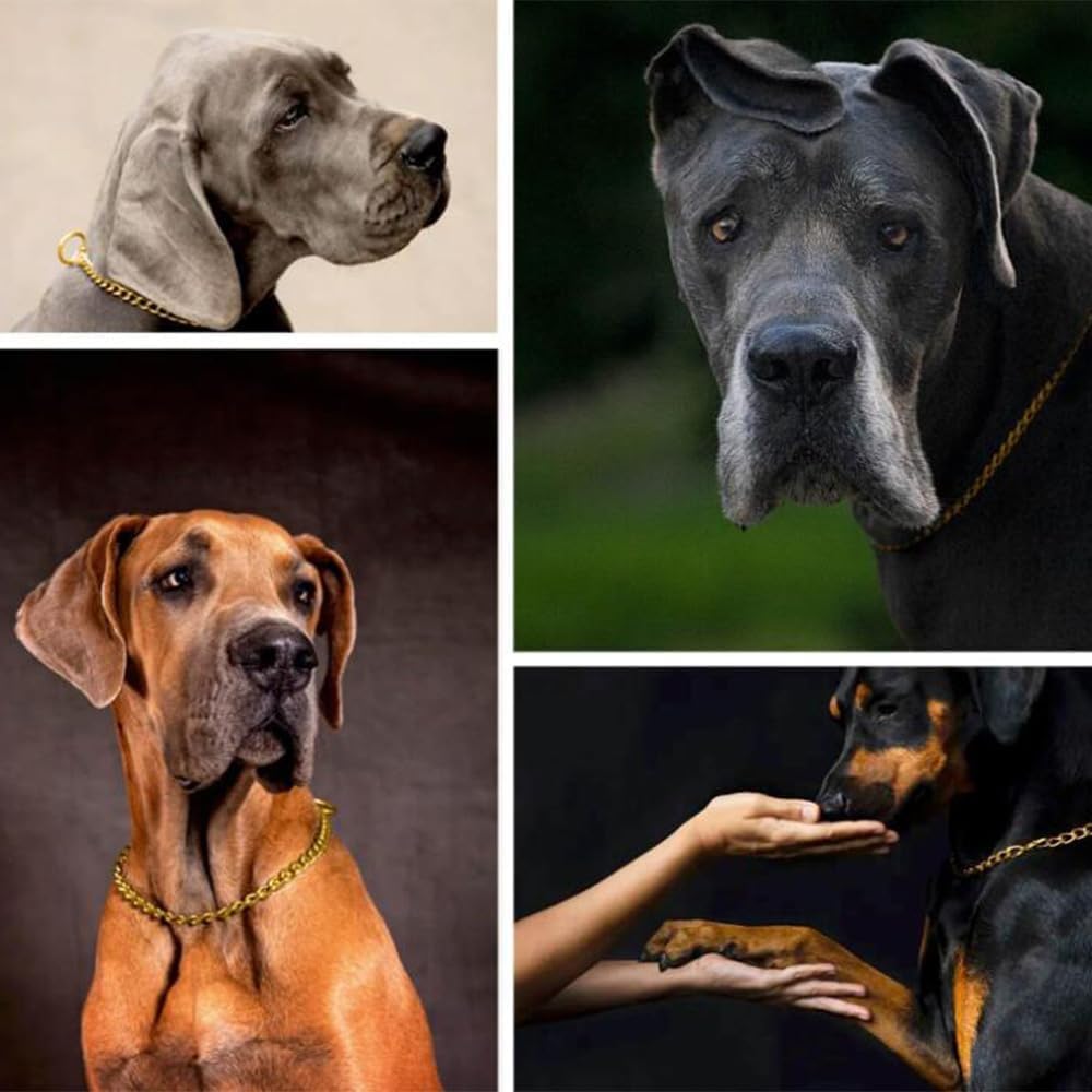 Gold Chain Choke Collar For Large Dogs, Metal Slip Link Heavy Duty Dog Collar Training Choker Dog Collars For Small Medium Large
