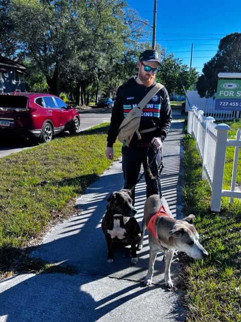 Double Dog Leash - Dog Leash Extension - Bungee Dog Leash Attachment Reflective - Hands Free Dog Leash - No Tangle - Shock Resis