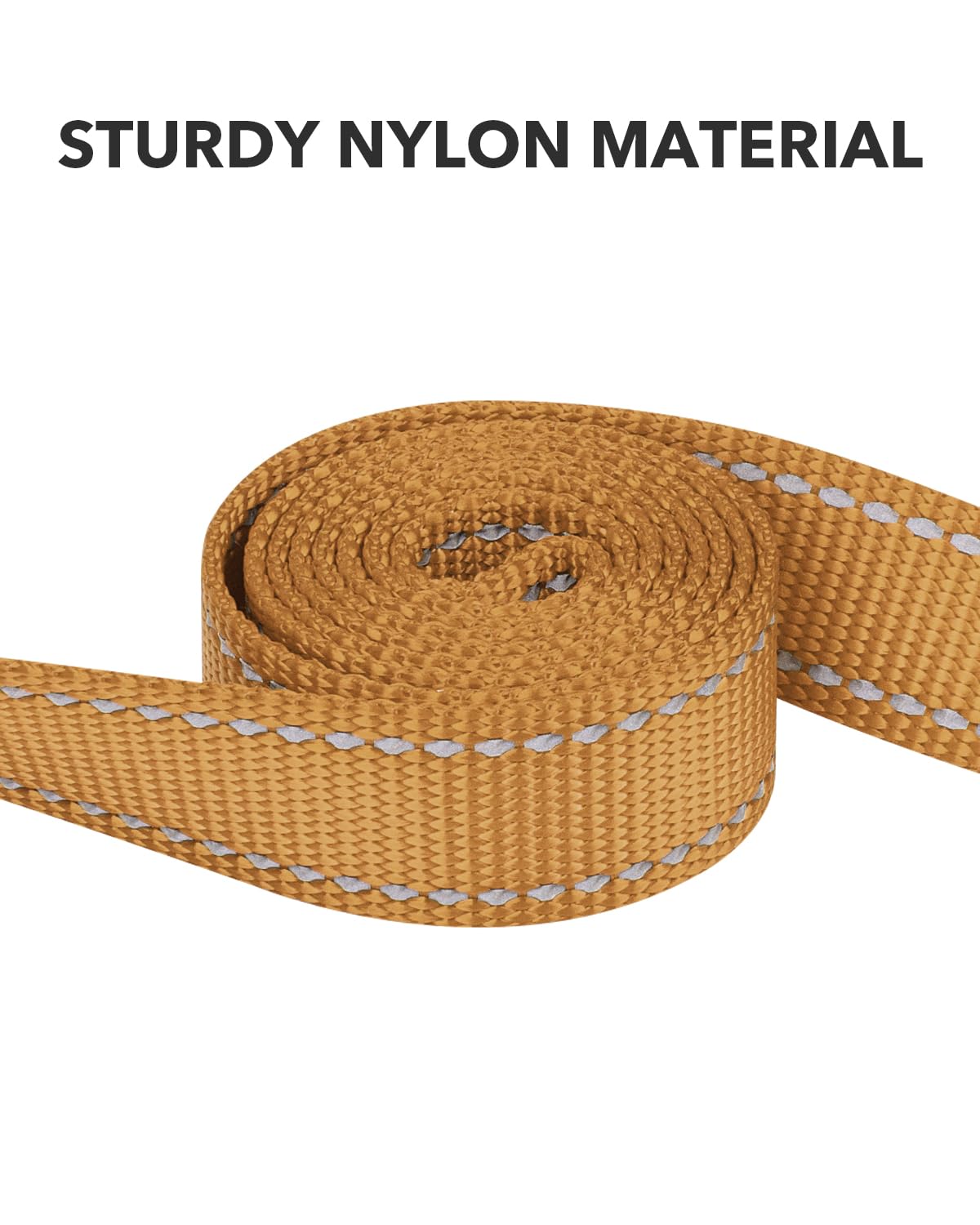 Taglory Nylon Dog Leash 6Ft, Soft Padded Handle Pet Reflective Leashes For Medium Large Dogs Walking & Training,Tan