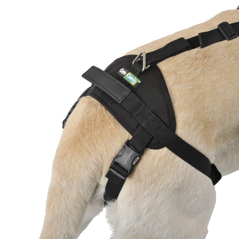 Ortocanis - Full-Body Dog Harness For Fore And Hind Support. Size M